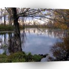 Water Wetland Woods A1 XLarge Canvas