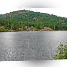 Water Wild Nature Reserve A1 XLarge Canvas
