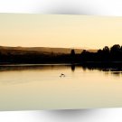 Water Yellow Swan Lake A1 XLarge Canvas