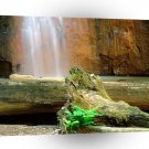 Waterfall Berry Big Basin Redwoods State Park A1 XLarge Canvas