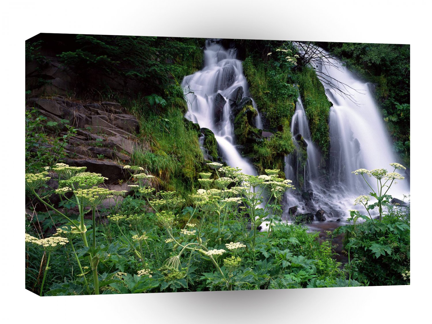 Waterfall Cascading Umpqua A1 XLarge Canvas