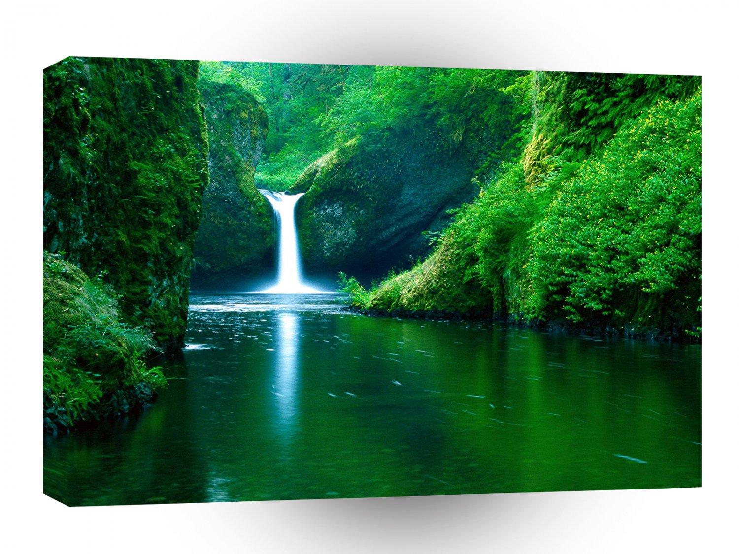 Waterfall Eagle Wilderness Area Columbia A1 XLarge Canvas