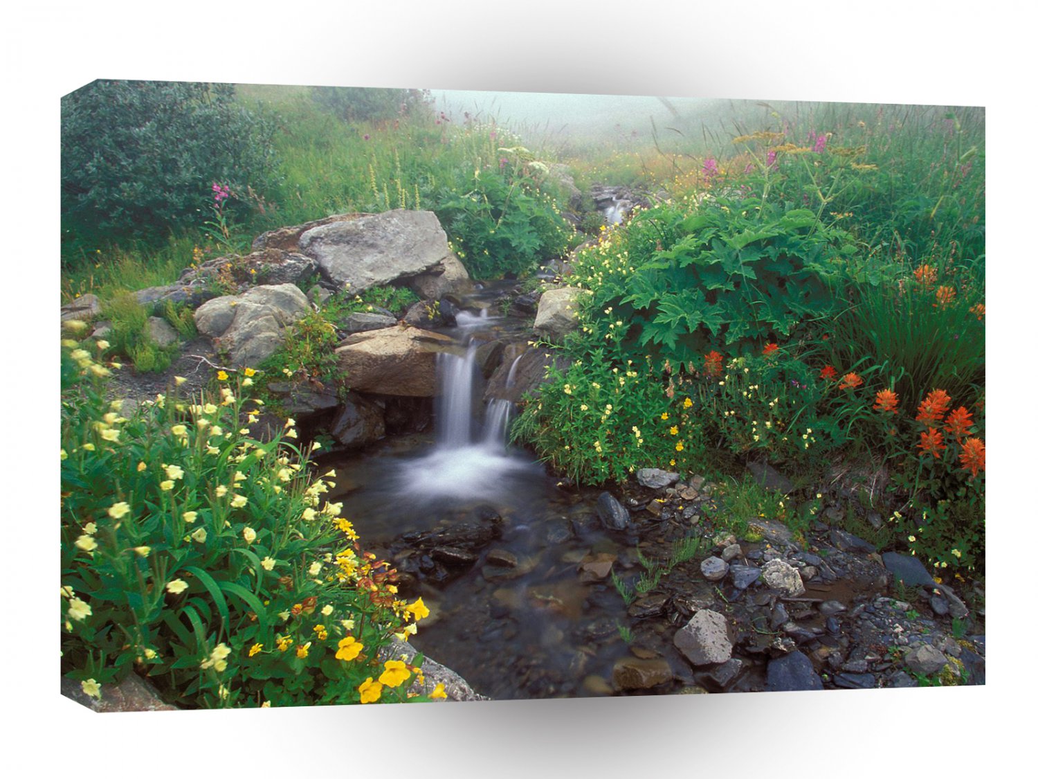 Waterfall Flowing Mist Olympic Park A1 XLarge Canvas