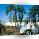 Waterfall Iguassu Argentina A1 XLarge Canvas