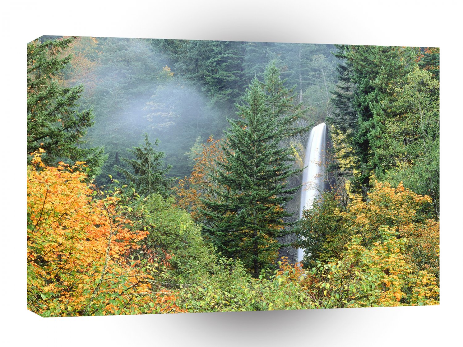 Waterfall Latourell Columbia A1 XLarge Canvas