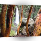 Waterfall Madrone Mill Recreation Area A1 XLarge Canvas