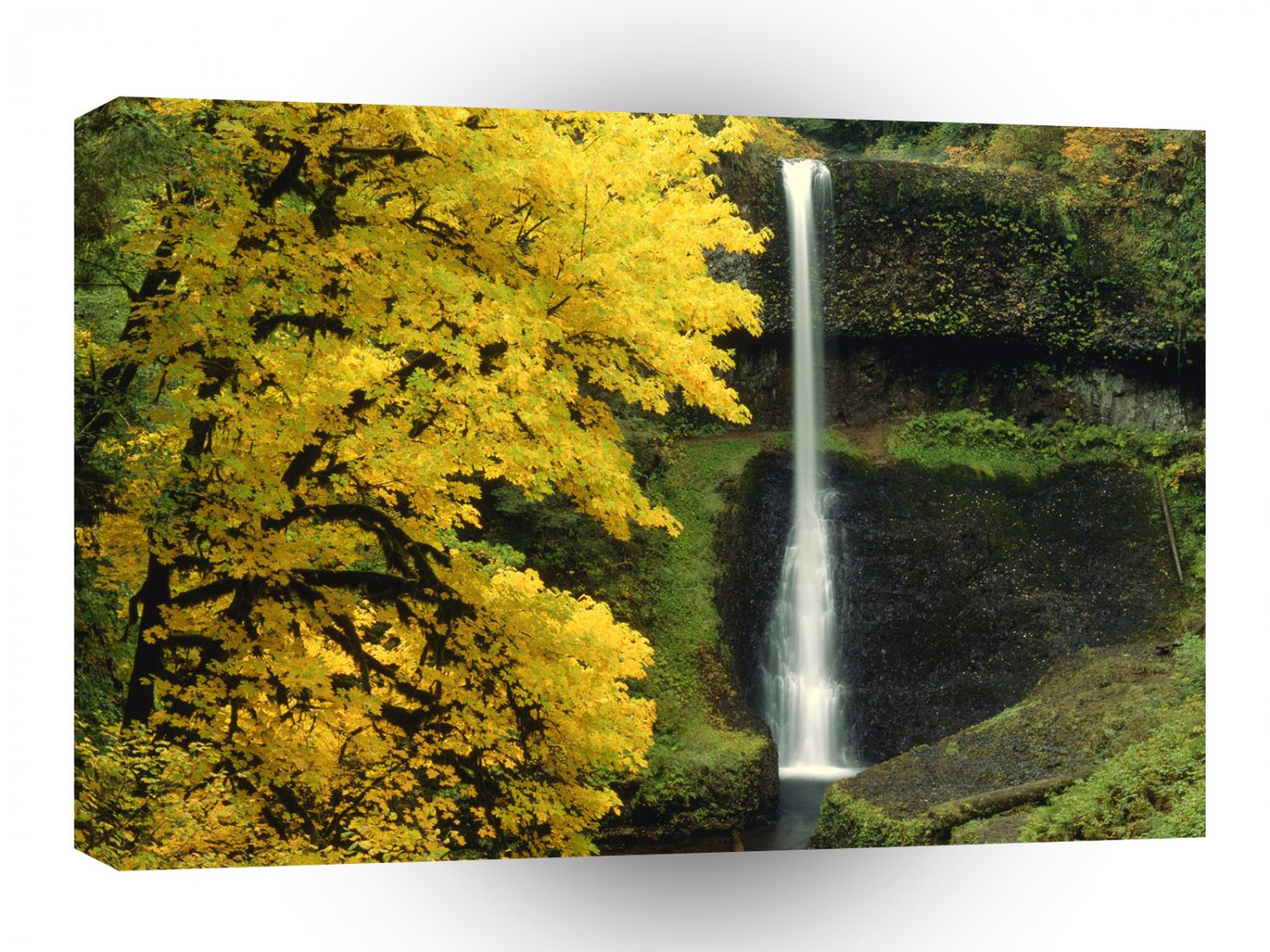 Waterfall Middlefalls Silver Falls A1 XLarge Canvas