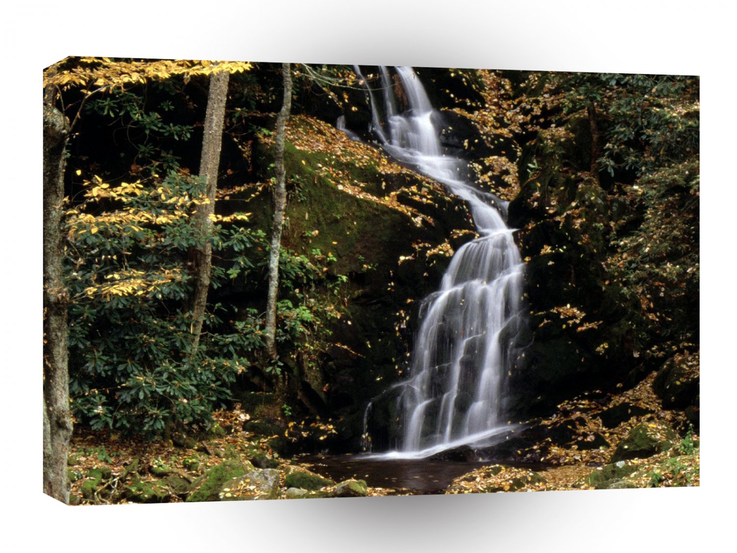 Waterfall Mouse Mountain Carolina A1 XLarge Canvas