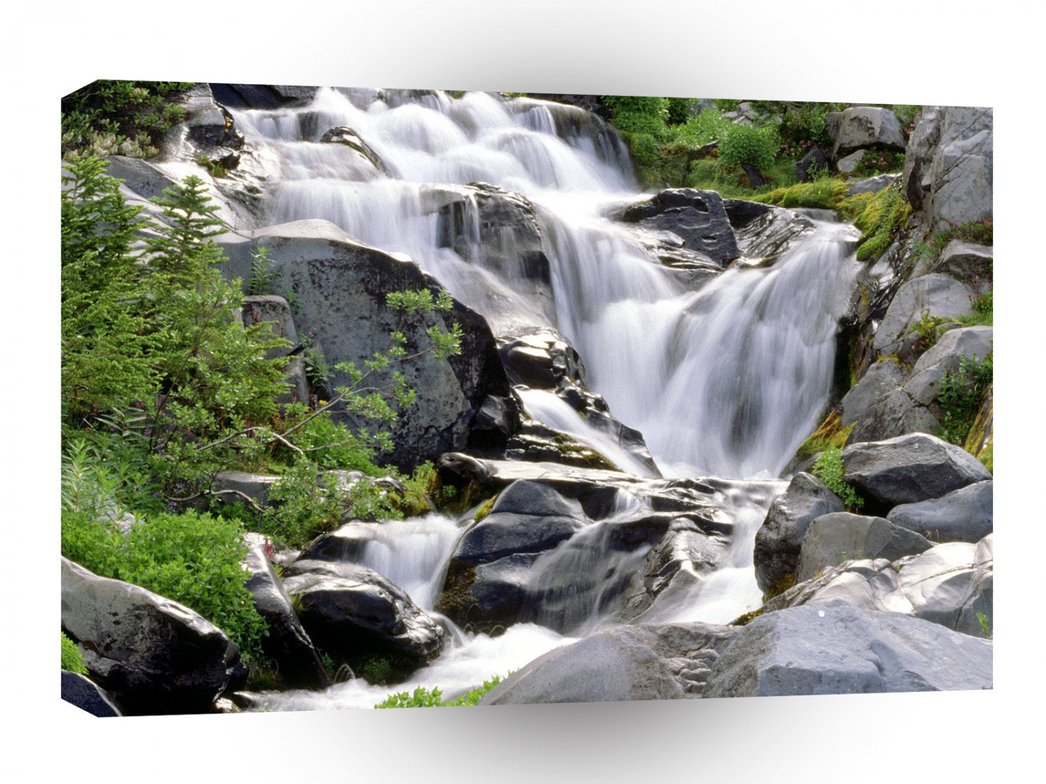 Waterfall Paradise Mount Rainier Park A1 XLarge Canvas