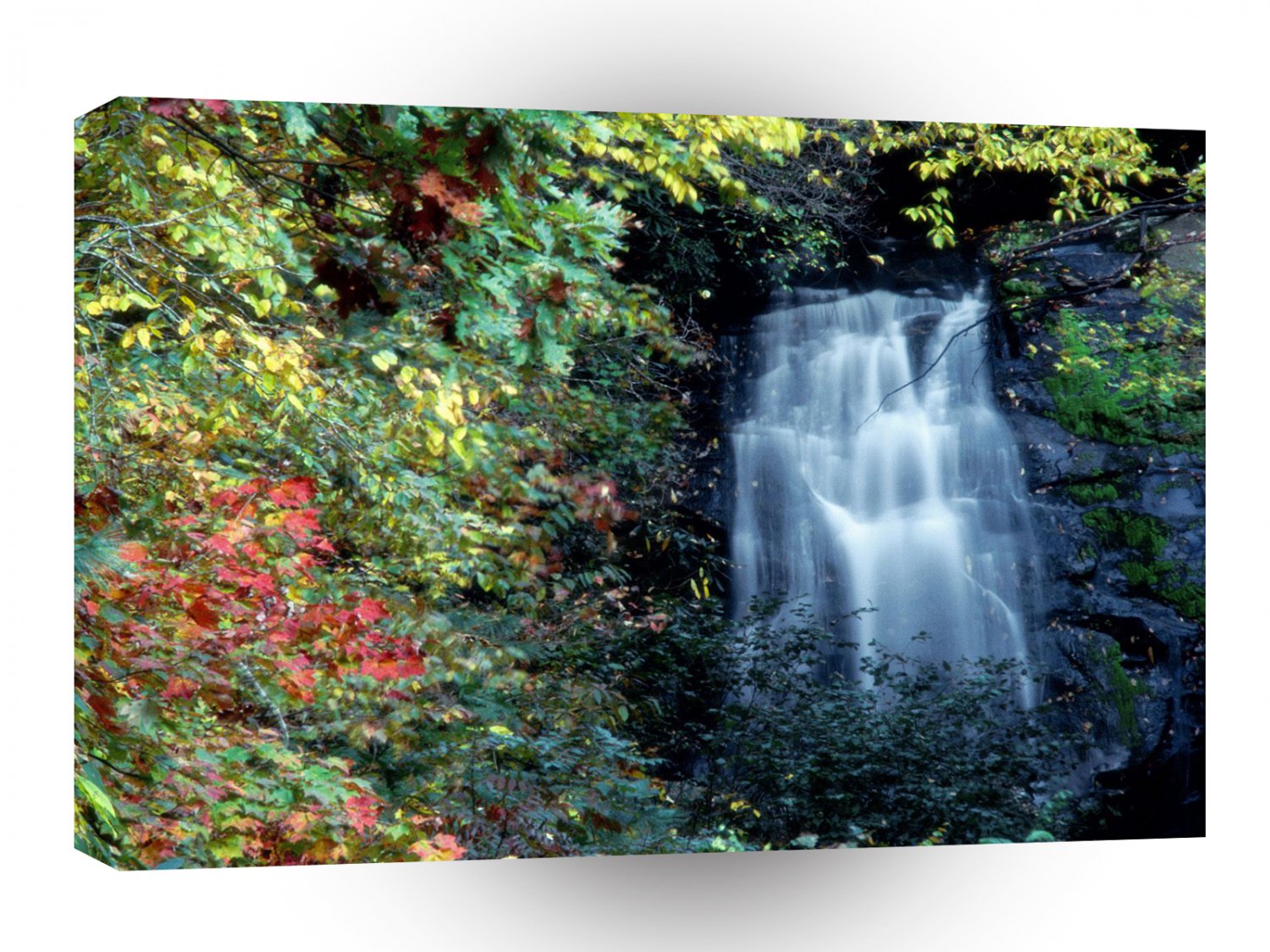 Waterfall Park A1 XLarge Canvas