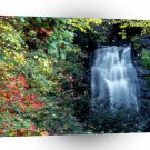 Waterfall Park A1 XLarge Canvas