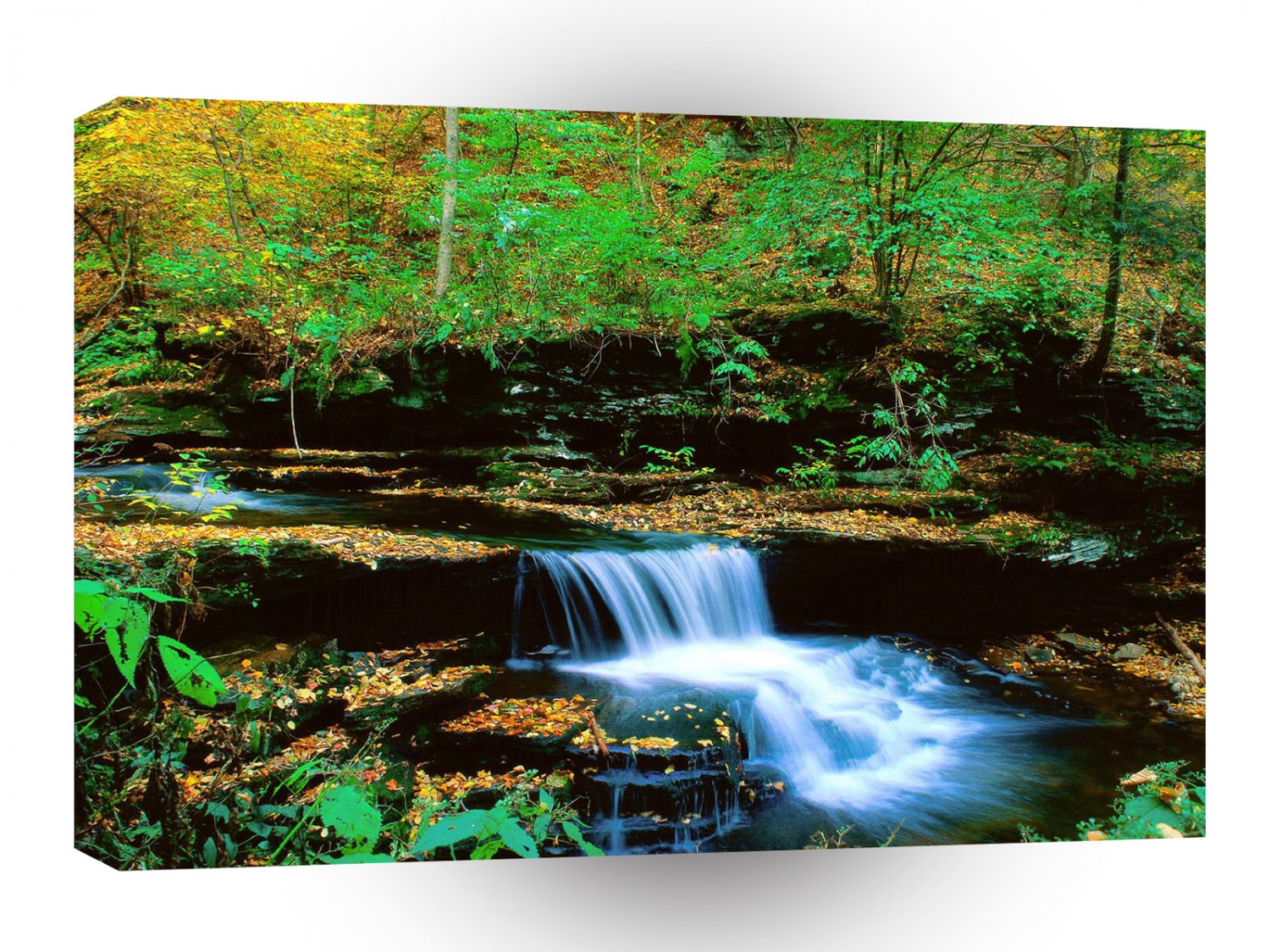 Waterfall Ricketts Glen State Park Pennsylvania A1 XLarge Canvas