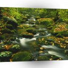 Waterfall Roaring Fork Smoky Mountian A1 XLarge Canvas