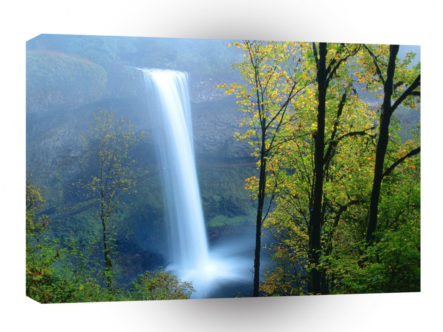 Waterfall South Silver State Park A1 XLarge Canvas