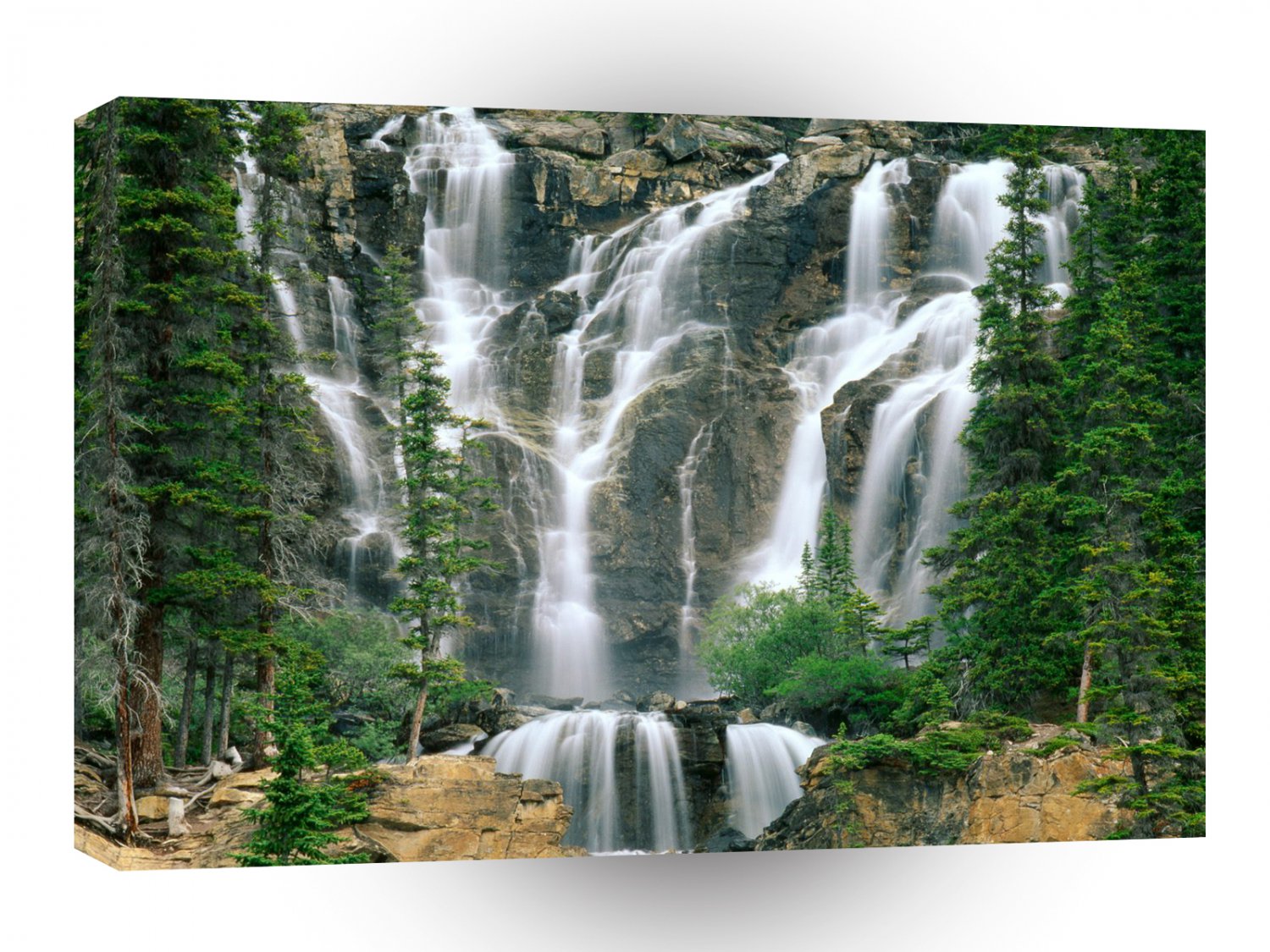 Waterfall Tangle Jasper Park Canada A1 XLarge Canvas