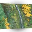 Waterfall Terwilliger Hot Springs Fall A1 XLarge Canvas