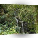 Waterfall Through The Under Growth A1 XLarge Canvas