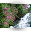 Waterfall Tochigi Prefecture Nikko Japan A1 XLarge Canvas