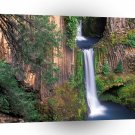 Waterfall Toketee Falls A1 XLarge Canvas