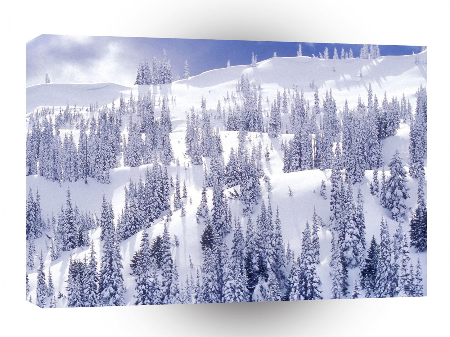 Winter A Comforter White Hurricane Ridge Olympic A1 XLarge Canvas