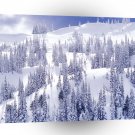 Winter A Comforter White Hurricane Ridge Olympic A1 XLarge Canvas