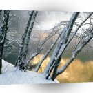 Winter Alder Trees Merced River Yosemite A1 XLarge Canvas