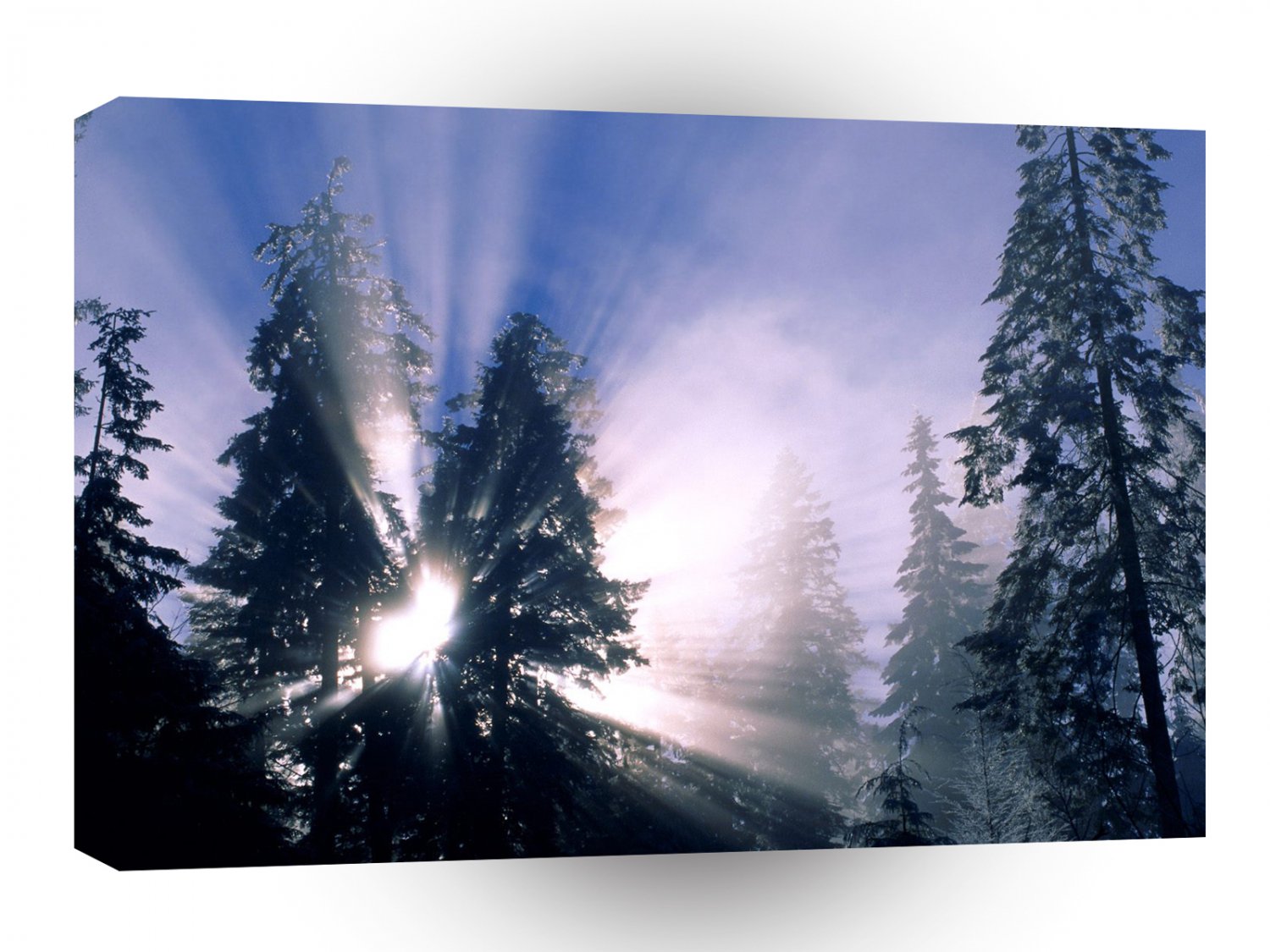 Winter Break A1 XLarge Canvas