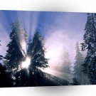 Winter Break A1 XLarge Canvas