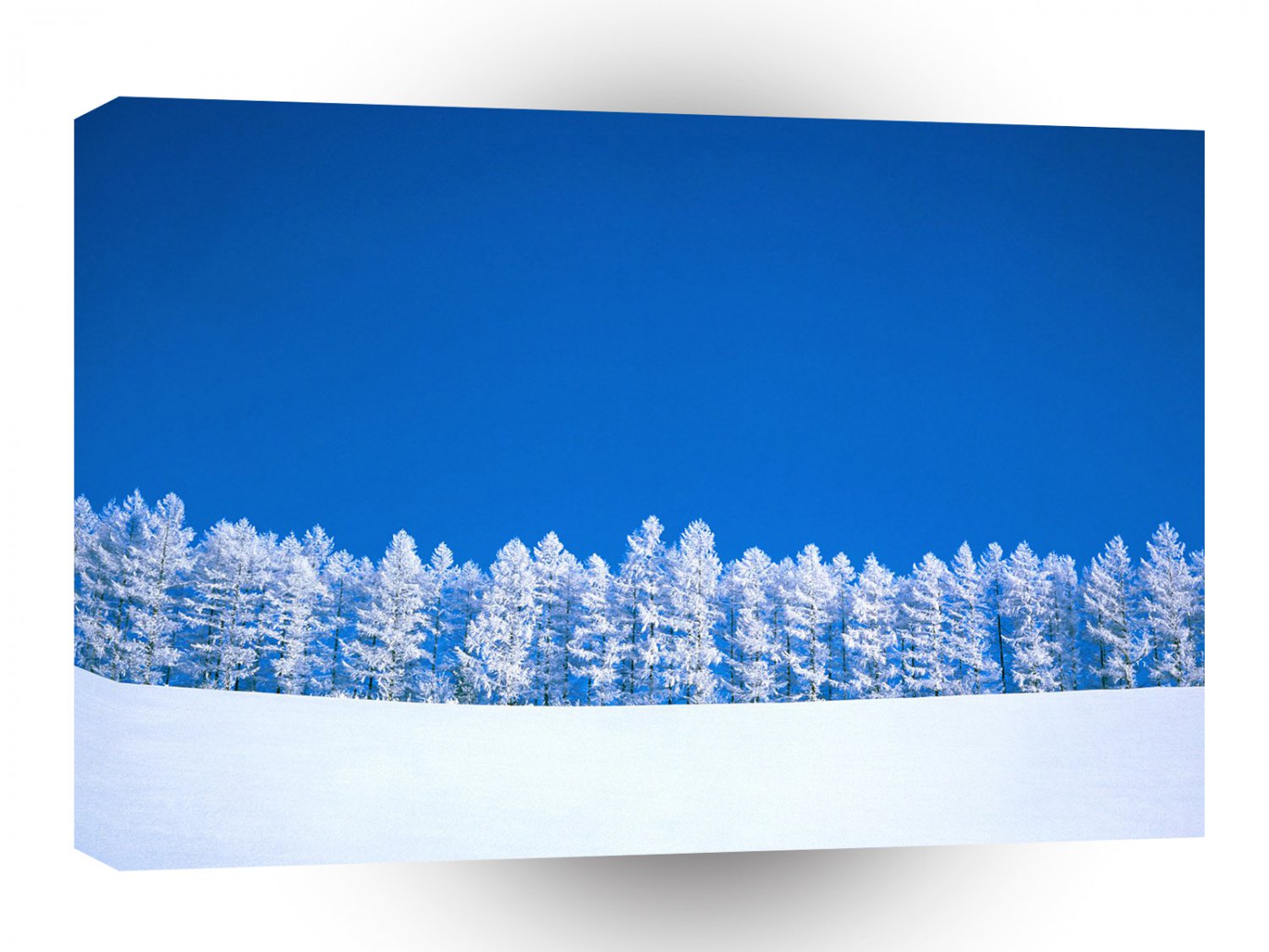 Winter Clearing A1 XLarge Canvas
