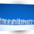 Winter Clearing A1 XLarge Canvas