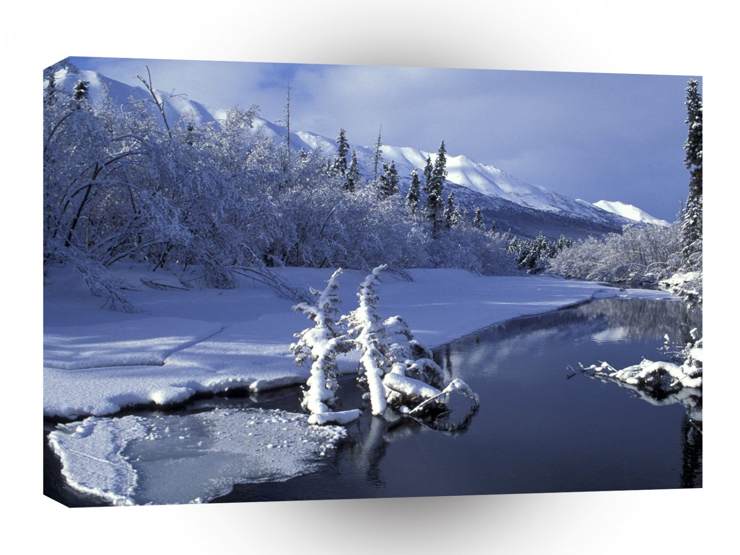 Winter Eagle River A1 XLarge Canvas