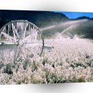 Winter Field Ice A1 XLarge Canvas