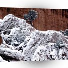Winter Frosted Red Rock Cliffs Springs Colorado A1 XLarge Canvas