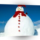 Winter Frostys Cousin A1 XLarge Canvas