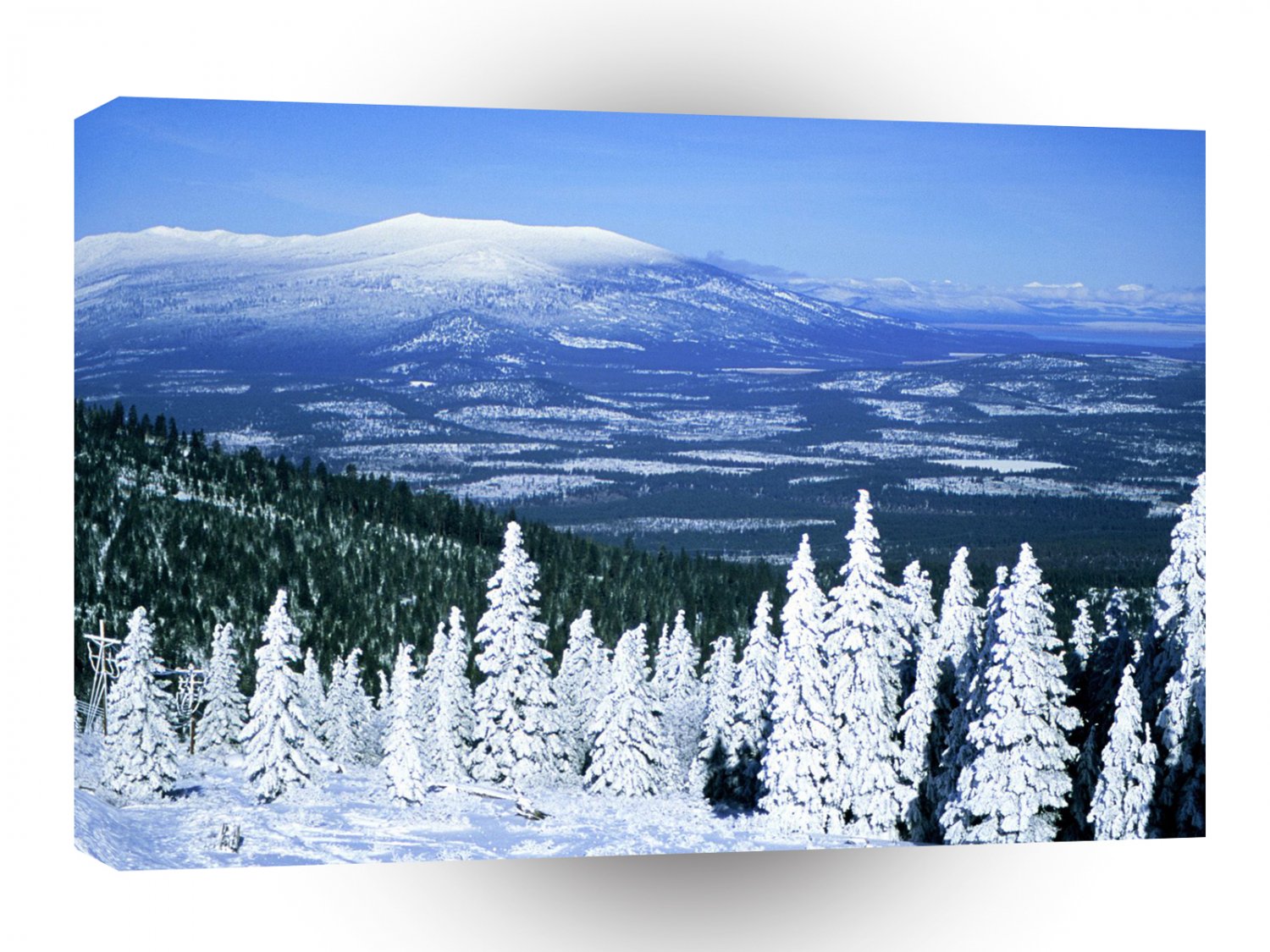 Winter Hamaker Mountain Oregon A1 XLarge Canvas