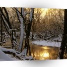 Winter Harpeth River Sunrise Williamson County A1 XLarge Canvas