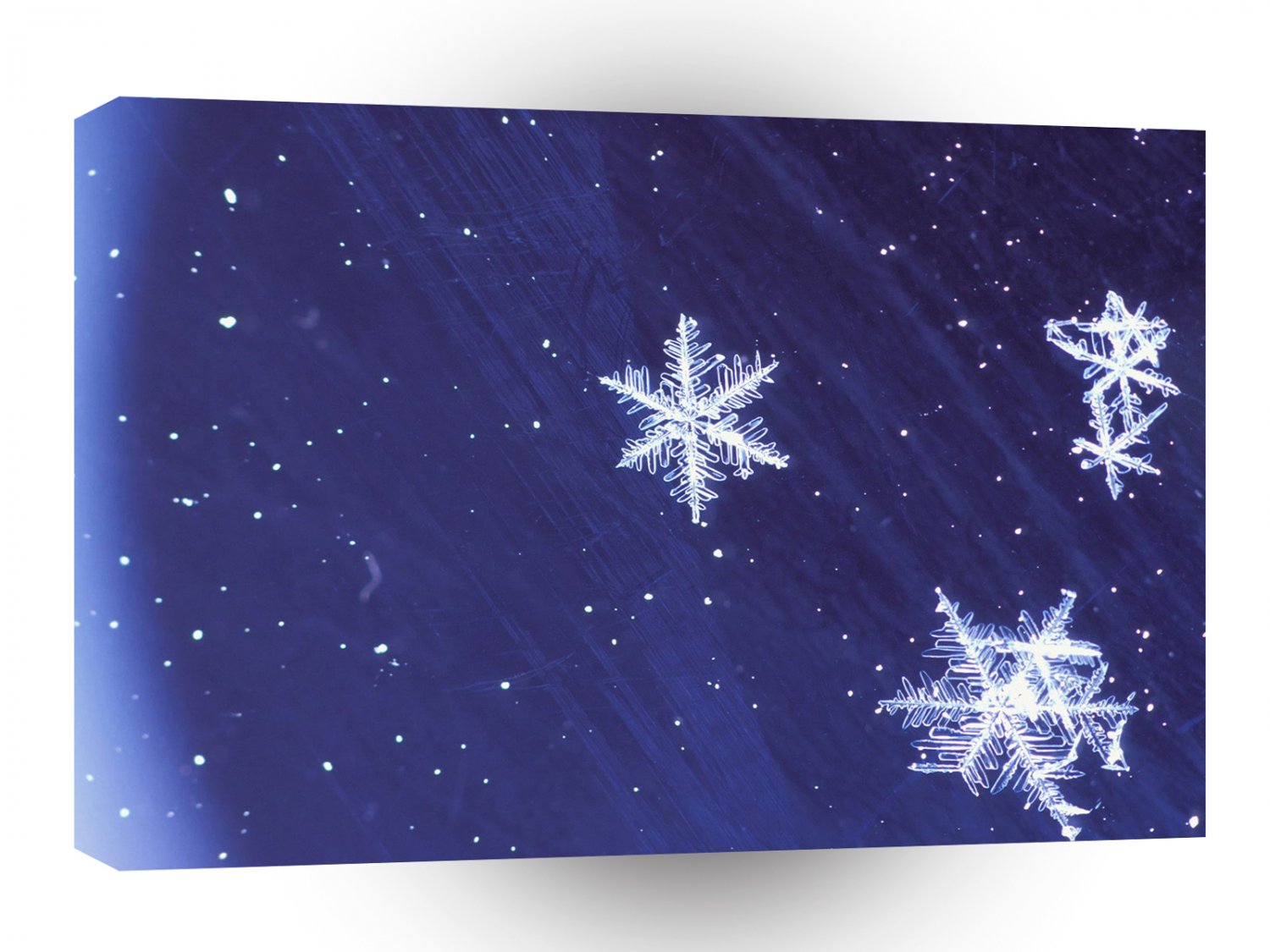 Winter Magic A1 XLarge Canvas