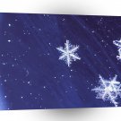 Winter Magic A1 XLarge Canvas
