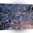 Winter Morning Frost A1 XLarge Canvas