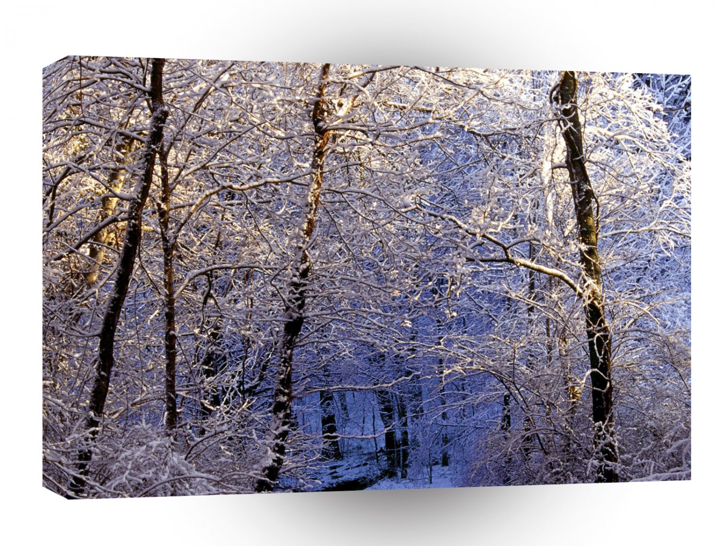 Winter Morning Light Falls Trail Nashville A1 XLarge Canvas