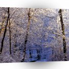 Winter Morning Light Falls Trail Nashville A1 XLarge Canvas