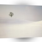 Winter Peaceful Season Near Hirzel Switzerland A1 XLarge Canvas