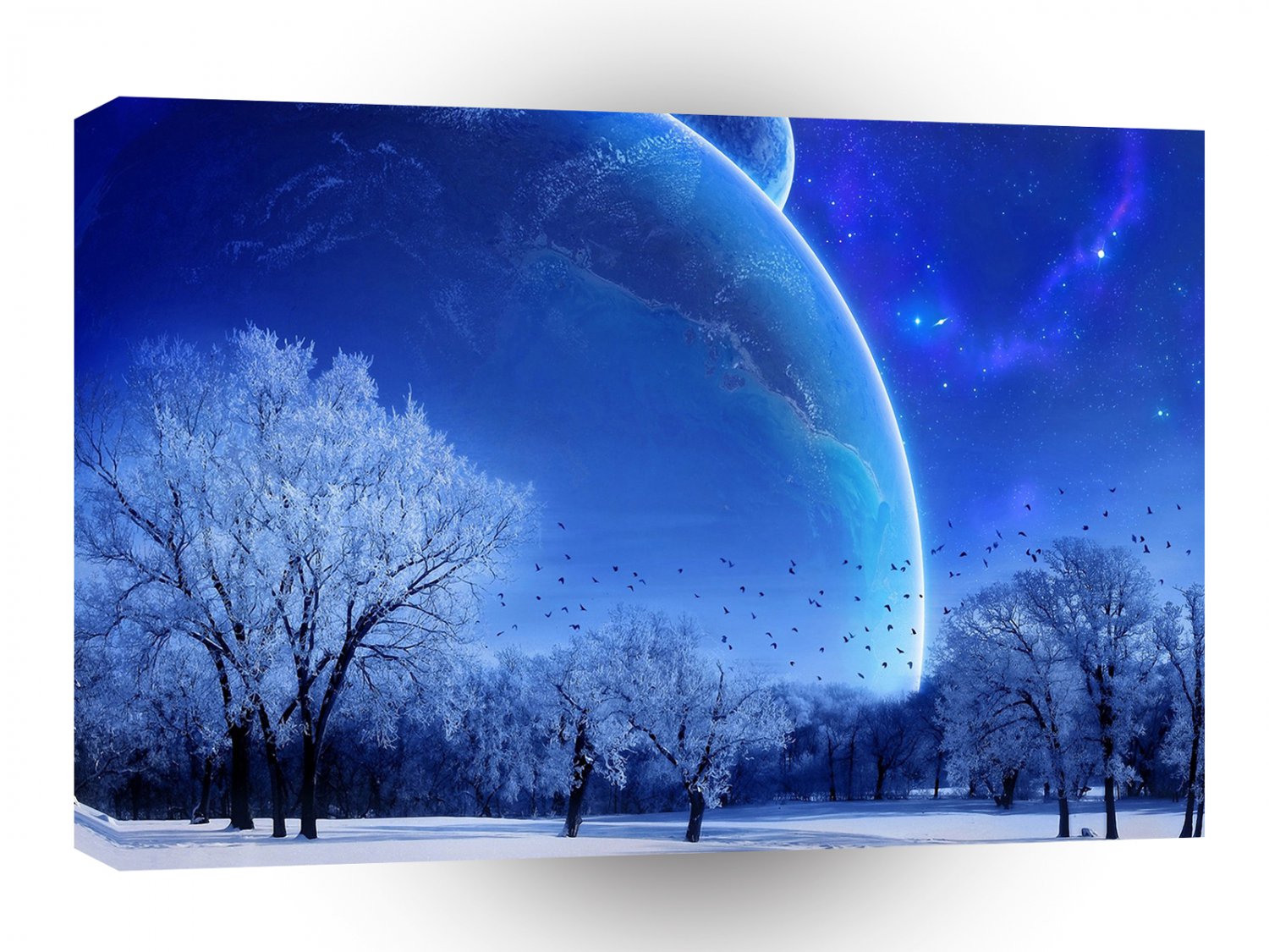 Winter Scene Cold Ice Planet A1 XLarge Canvas