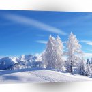 Winter Scene Cold Region Landscape A1 XLarge Canvas