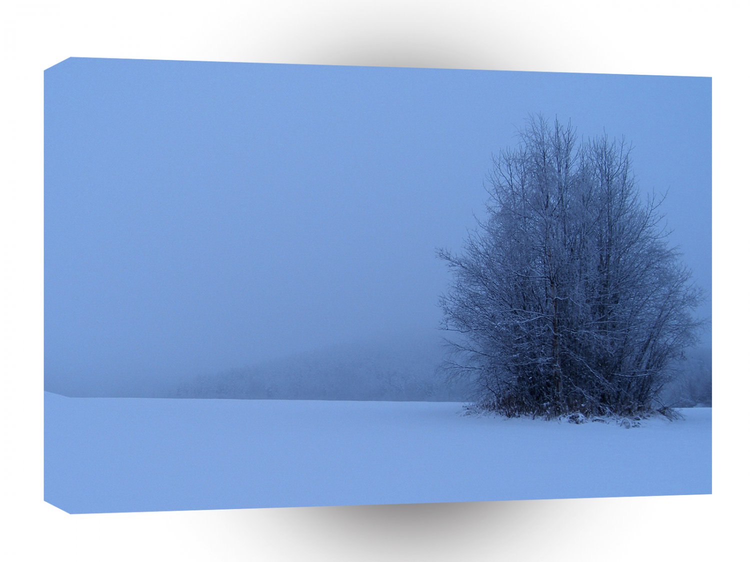 Winter Scene Dark Wilderness A1 XLarge Canvas