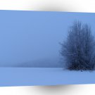 Winter Scene Dark Wilderness A1 XLarge Canvas