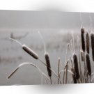 Winter Scene Frosted Cattails A1 XLarge Canvas
