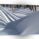Winter Scene Golden Trees In The Snow Tesuque A1 XLarge Canvas