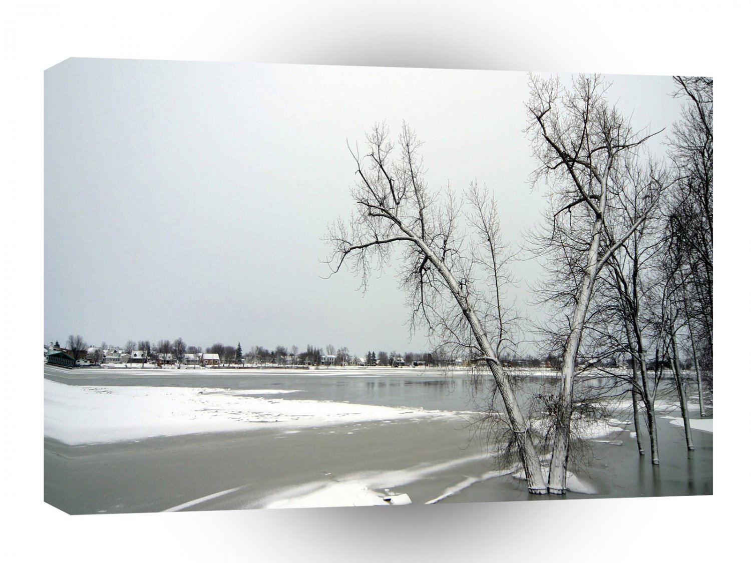 Winter Scene Ice Covered Flood Plain A1 XLarge Canvas