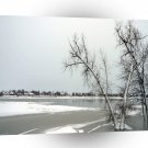 Winter Scene Ice Covered Flood Plain A1 XLarge Canvas